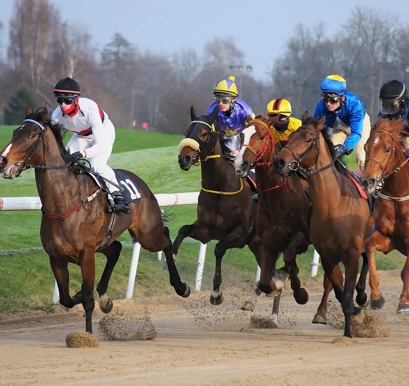 競馬・競輪・競艇サイト詐欺のご相談はこちら